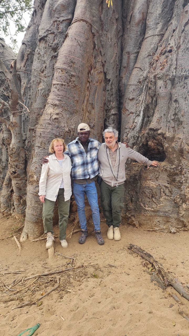 Baobab shade with our guide 🌳