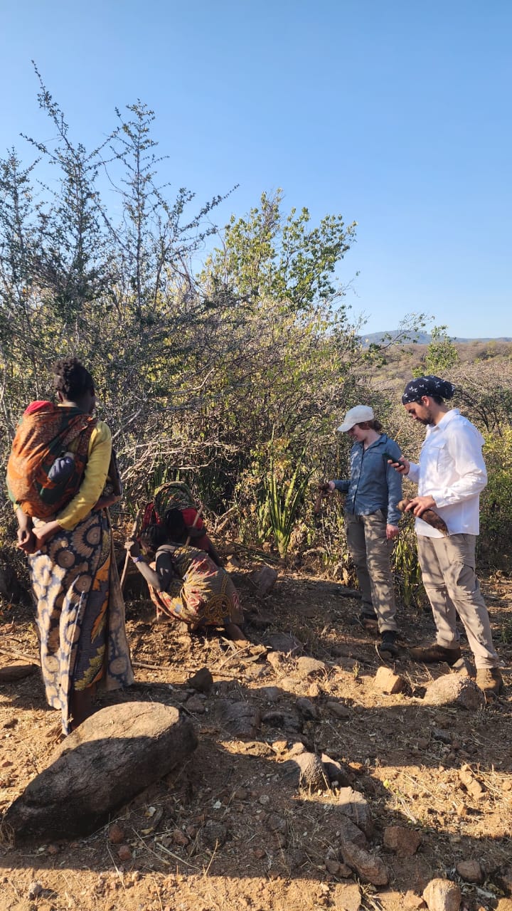 Hadzabe women digging wild tubers while guests watch on a foraging walk
