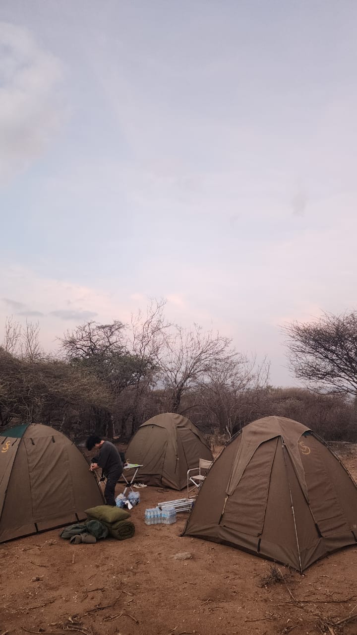 Dome tents pitched in acacia bush at dawn on a private camping safari