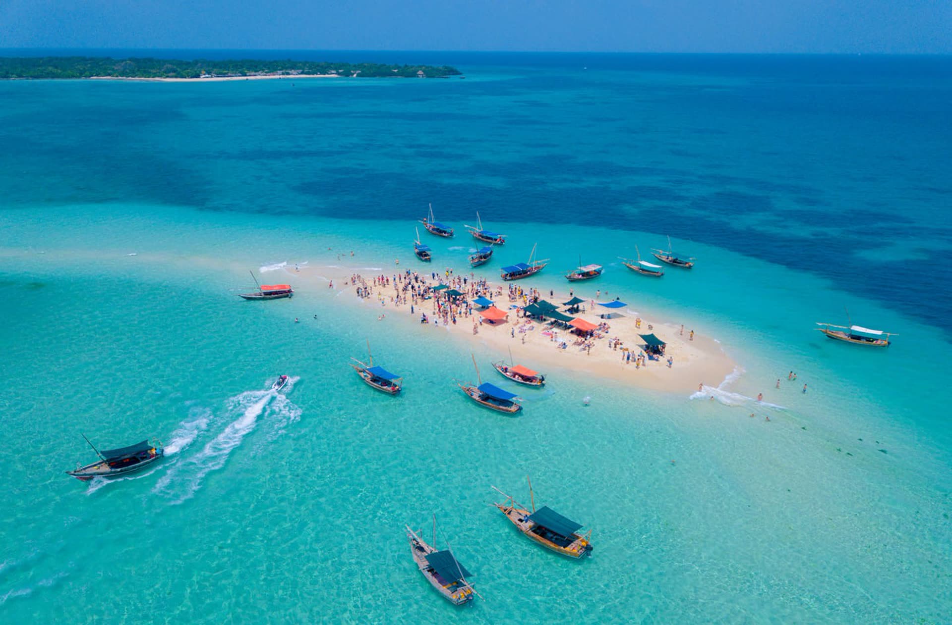 Safari Blue: a day on the water