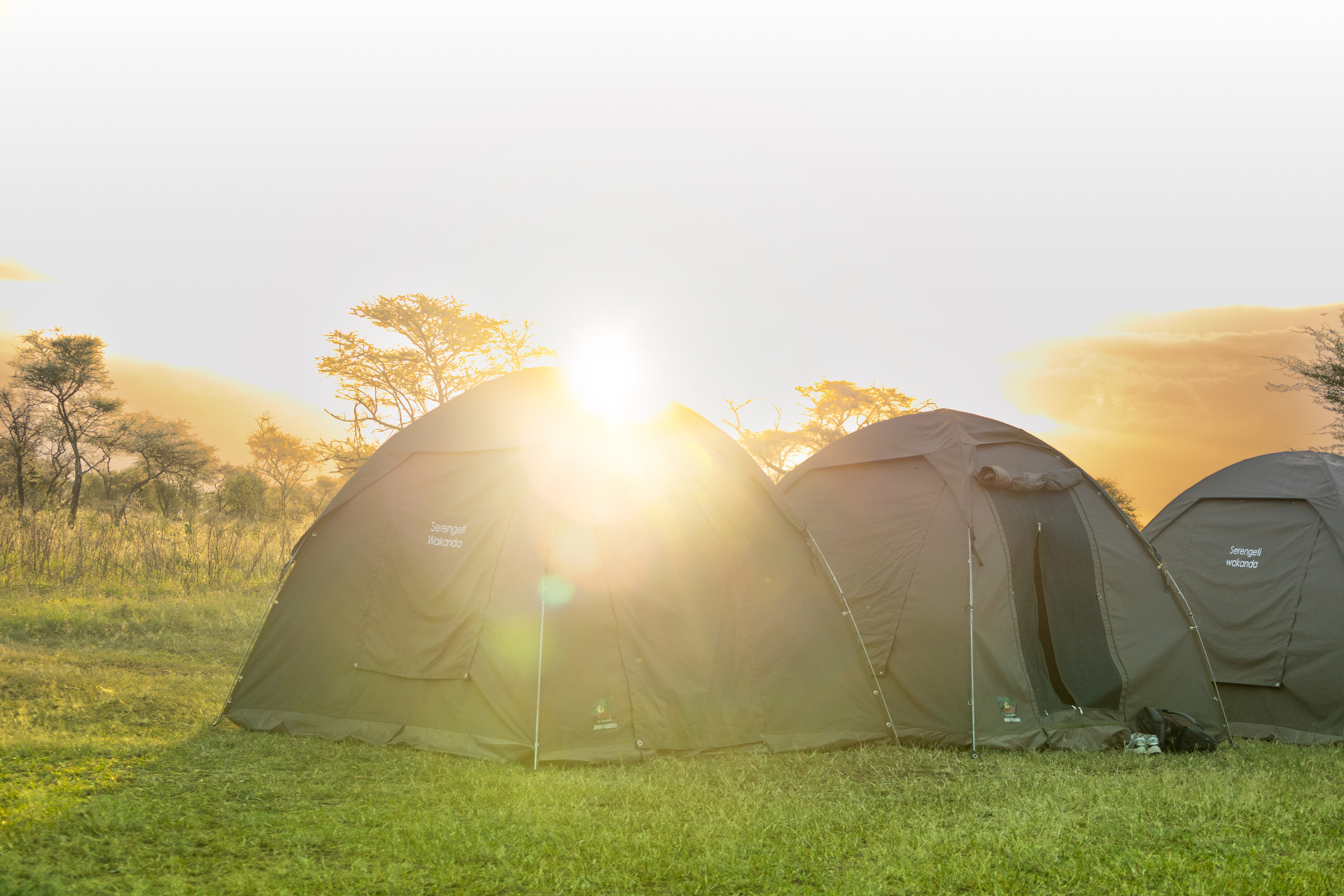 Camping or lodges? Choosing your accommodation style