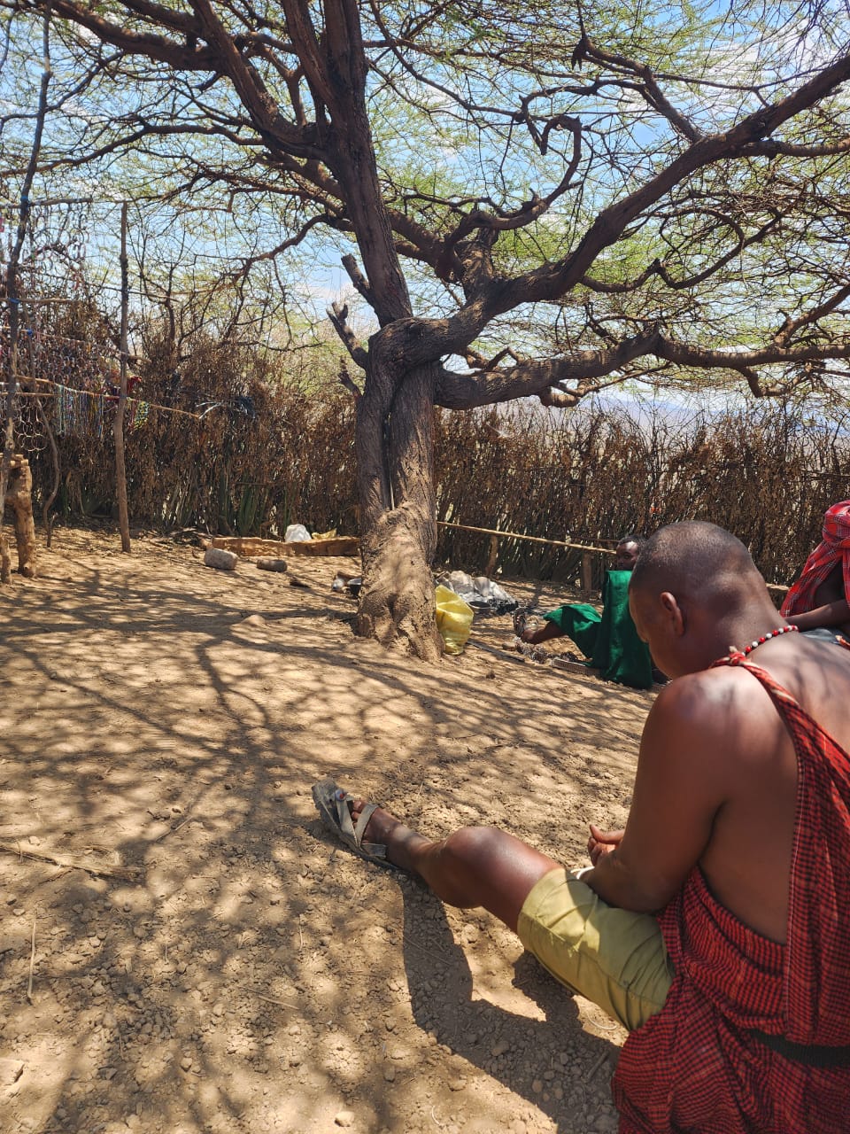 Maasai elder resting in acacia shade beside beadwork drying on a line