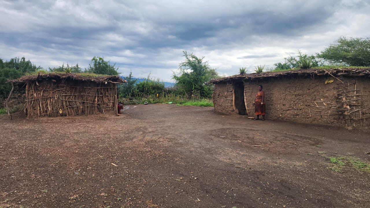 Mud-and-thatch Datoga homestead huts under a cloudy sky near Lake Eyasi