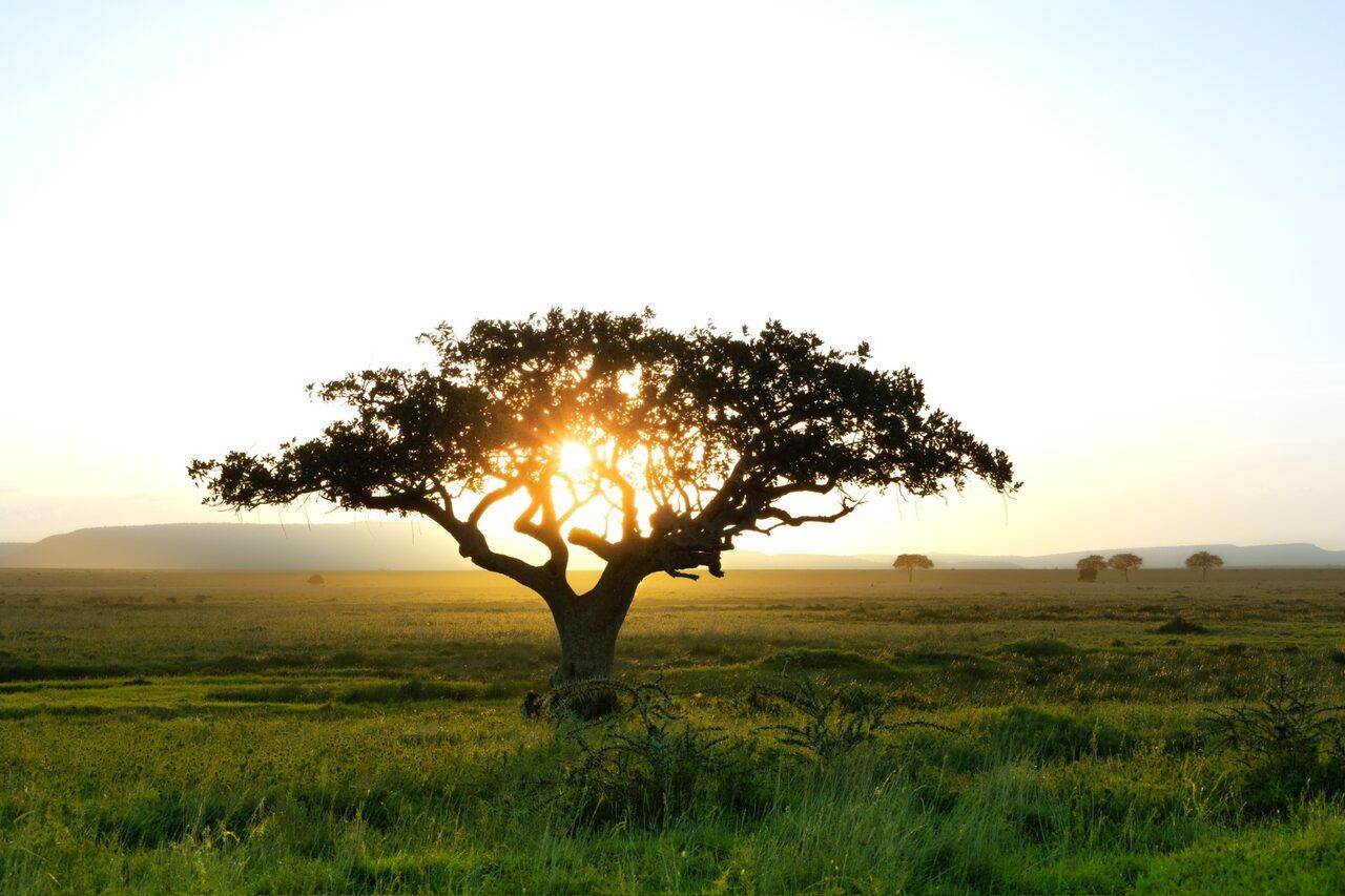 Travelling solo in northern Tanzania