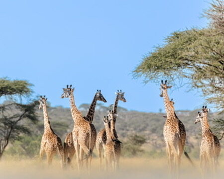 Arusha National Park